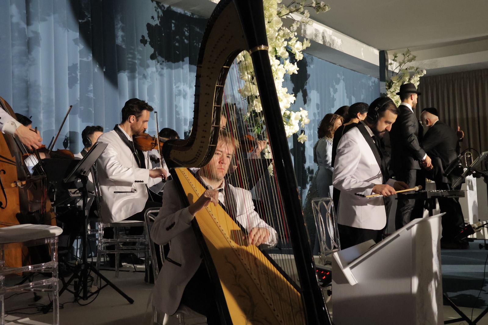 Live musicians performing with harp and strings